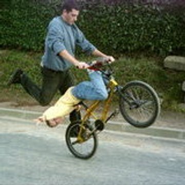 Pigriders
