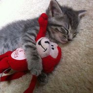 موقع يختص بعرض فيديوهات مميزة