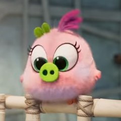 The Angry Birds Movie 2|ＦＵＬＬ ＭＯＶＩＥ|"HD"