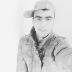 Asi Darbe