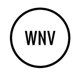 Watchnowvideos