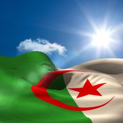 alger mon amour