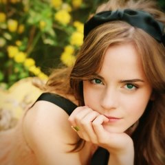 Darcy