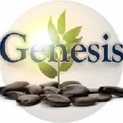 Genesisibogainecenterreviews