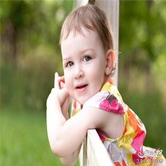 funny videos