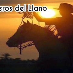 radiolos veguerosdelllano