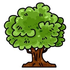 Foresty