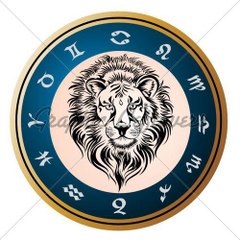 The Video Lion