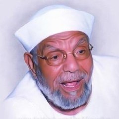 ayman elsunni
