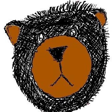Nico The Bear NEWS