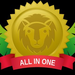 All In One