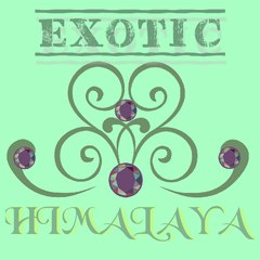 Exotic Himalaya
