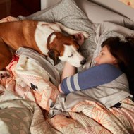 Downward Dog Season 1 - Premieres Series HD