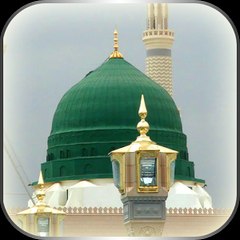 Amir News