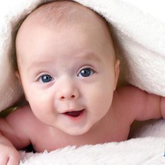 Very Funny videos