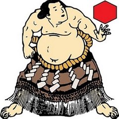 sumo73