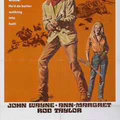 The Train Robbers Full Movie 1973