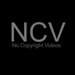 No Copyright Videos