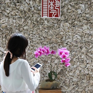 Marie Michel