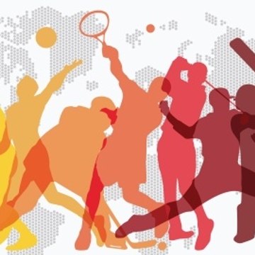 Sports Segment