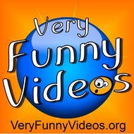 funny video and songs