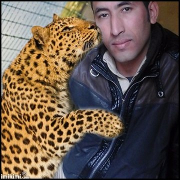 reza للمنوعات