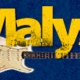 orchestre MALYSS
