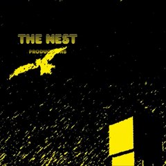 theNestChannel