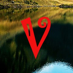 ViralVidz