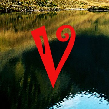 ViralVidz