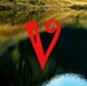 ViralVidz