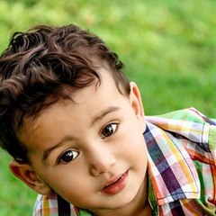 Hamsat_1