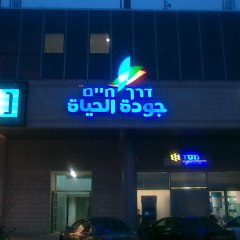 אריה שלטים