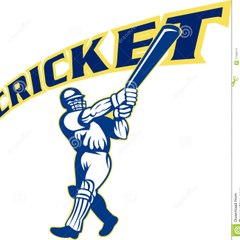 The Cric Lovers