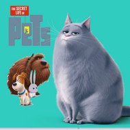 The Secret Life of Pets Full Movie BF3D5CWQ