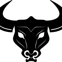 BULL BOX