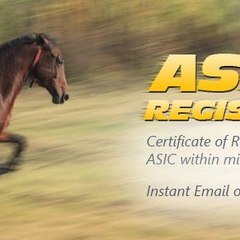 Online Company Registration