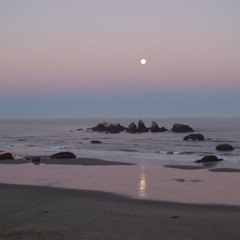 Beach_Loop_Realty