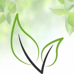 Vitavega
