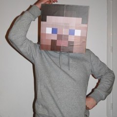 Craftman