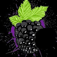 Яжевичка IVika