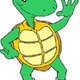 Turtle Channel