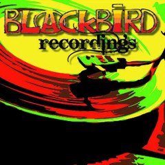 Blackbird recordings