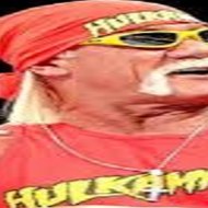 wwe hulkaminacts