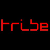 Tribe Digital Web Design