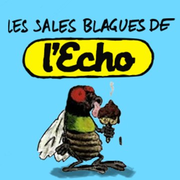 Sales Blagues De L'Echo