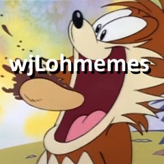 wjLohmemes