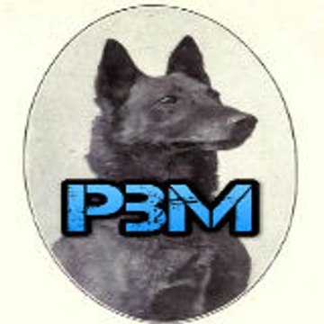 ALR12pbm