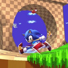 Nex_the_hedgehog