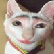 Funny Videos